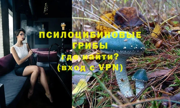 не бодяженный Гусиноозёрск